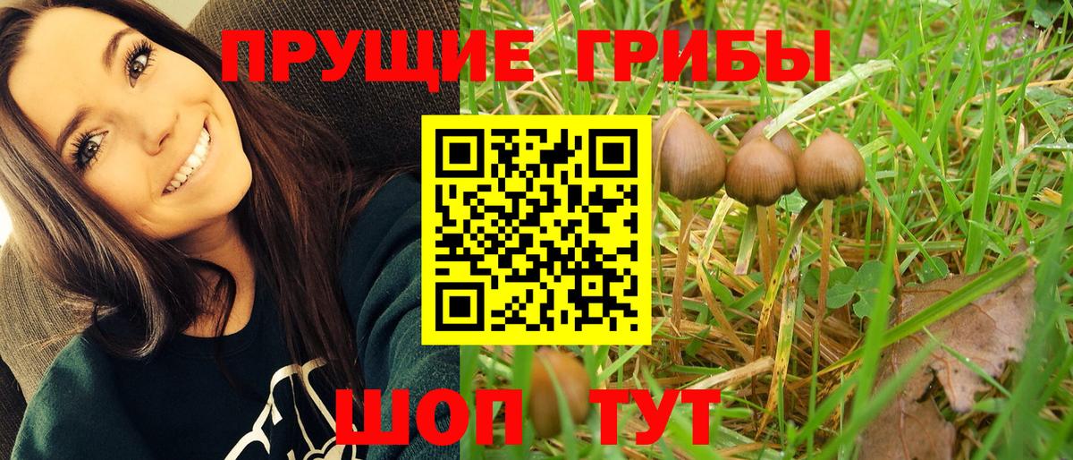 Псилоцибиновые грибы прущие грибы Ульяновск